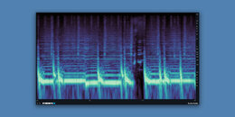 VISION 4X Lite | Black Friday Early Access Sale