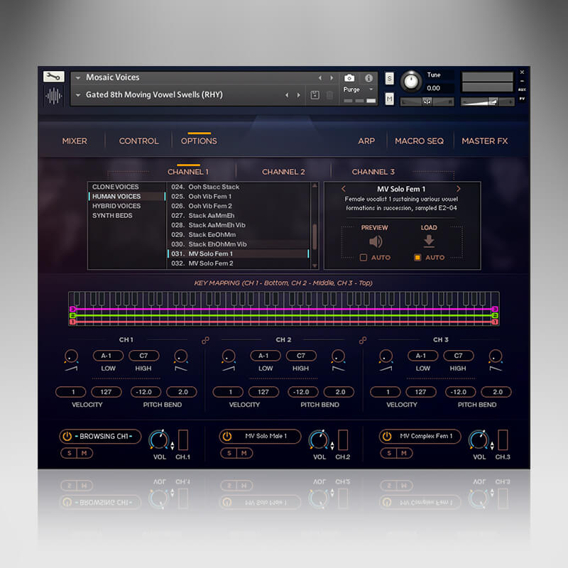 Mosaic Voices - User Interface (Options)
