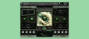 Radiant Decay | Spring Sale