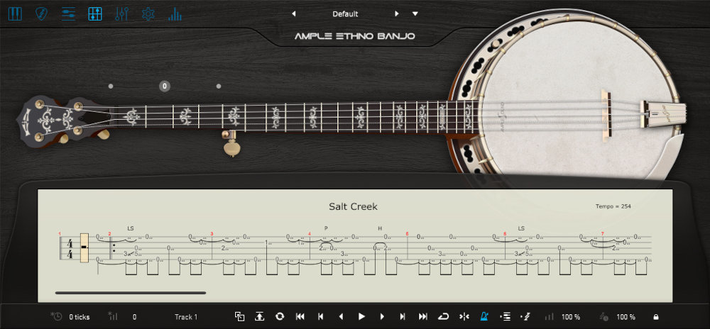 Ample Ethno Banjo - UI 4