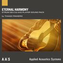 Eternal Harmony Strum GS-2 Sound Bank | Black Friday Sale