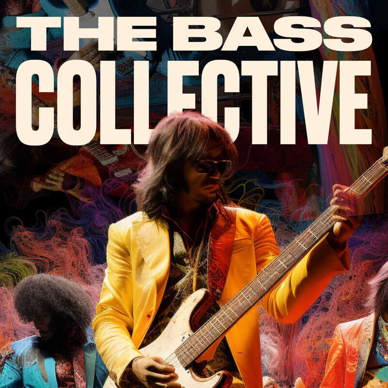 Two Notes Audio Engineering DynIR Cabinet Collection | The Bass Collective