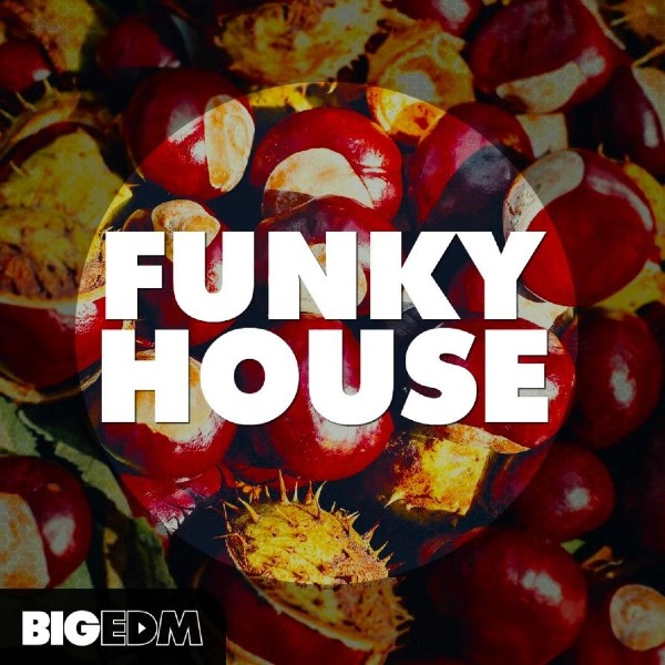 W.A. Production InstaChord Mega Pack - Funky House