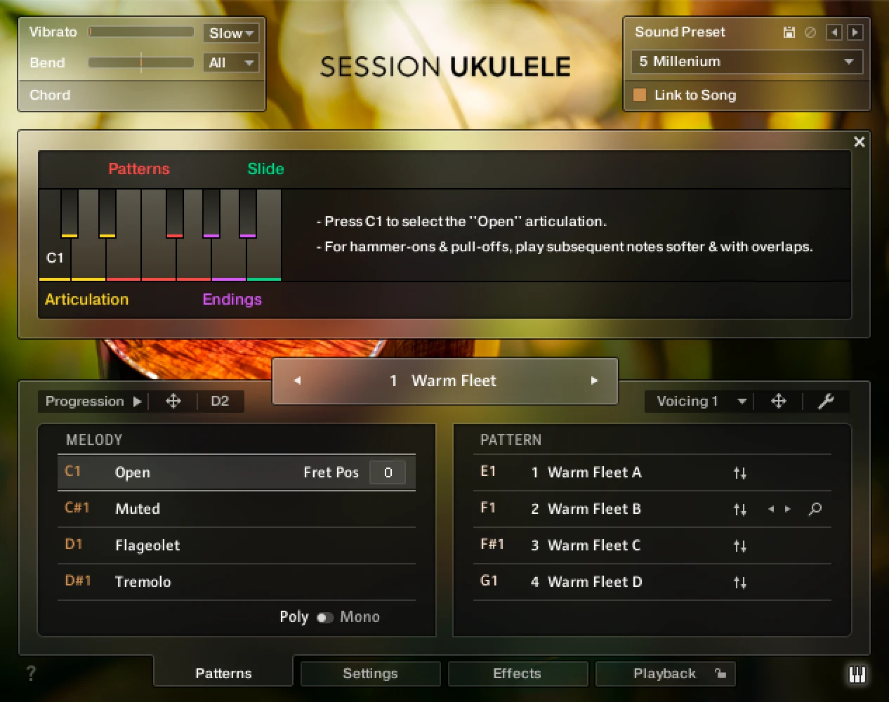 Native Instruments Session Ukulele - Image 1