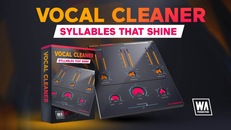 Vocal Cleaner
