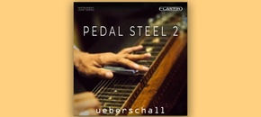 Pedal Steel 2 | Summer Sale