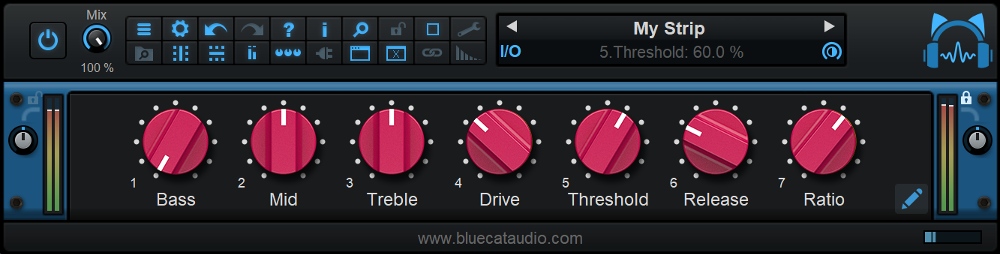 Blue Cat's PatchWork - Macro Parameters (Rename Option)