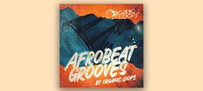 Afrobeat Grooves