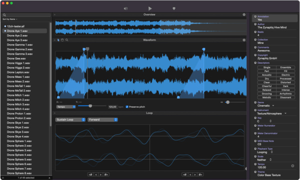 Zynaptiq LOOP EDITOR 2 - User Interface