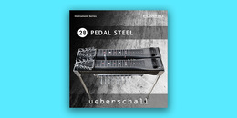 Pedal Steel | Ultimate Sale
