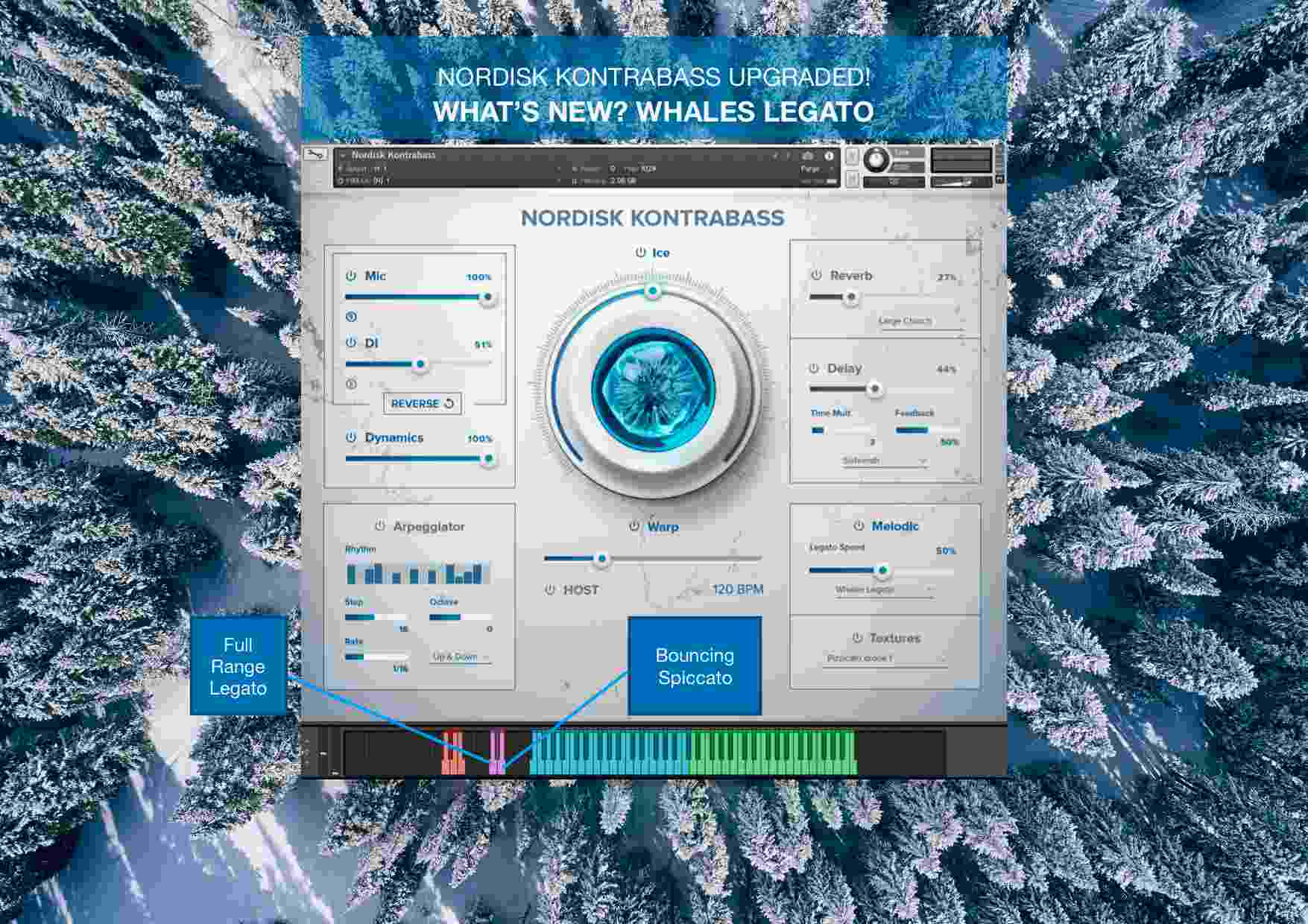 Nordisk Kontrabass - What's New 1
