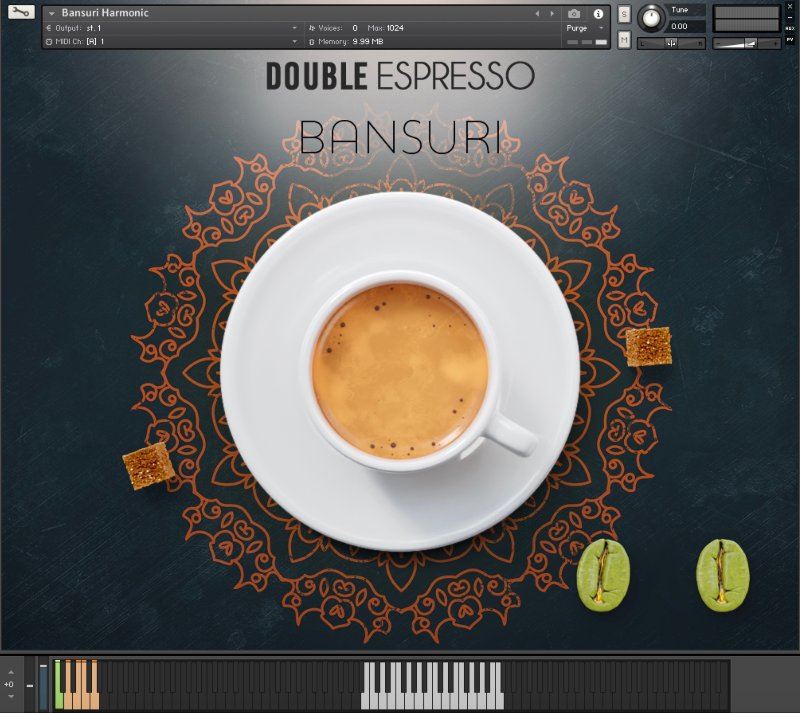 Have Audio Bansuri Harmonic - GUI