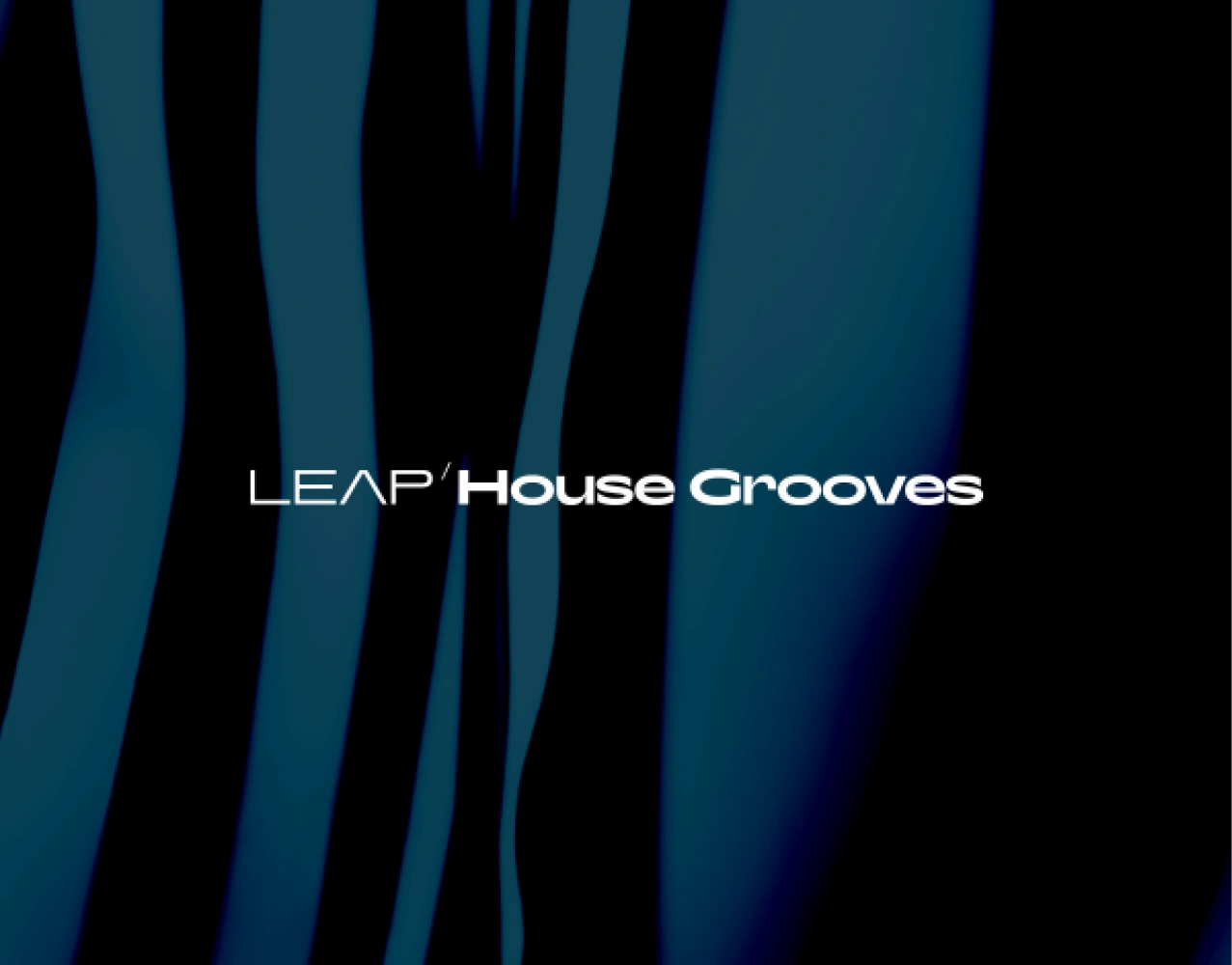 Native Instruments Leap Expansion - House Grooves