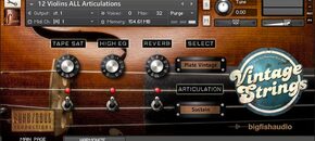 Vintage Strings | Memorial Day Sale