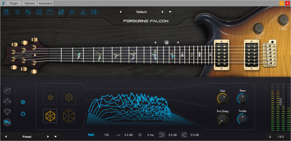 Ample Guitar Peregrine Falcon - UI 8