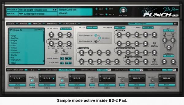 Punch BD User Interface