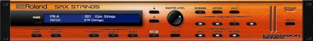 SRX STRINGS screenshot