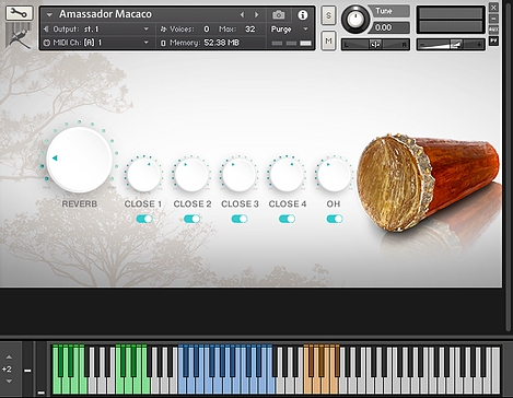 The Amazonic AMA I Composer Edition - Interface 02