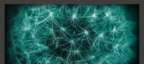 Transmutation Chromaphone 3 Sound Bank | Summer Sale