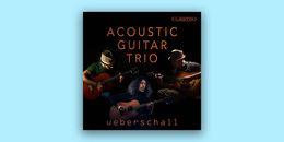 Acoustic Guitar Trio | Ultimate Sale