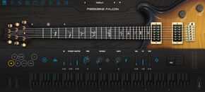 Ample Guitar Peregrine Falcon