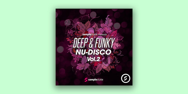 Deep & Funky Nu-Disco 2