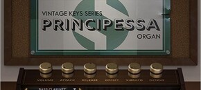 Principessa | Spring Sale