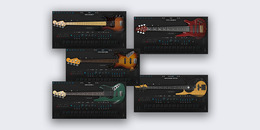 5in1 Electric Bass Bundle | Winter Sale