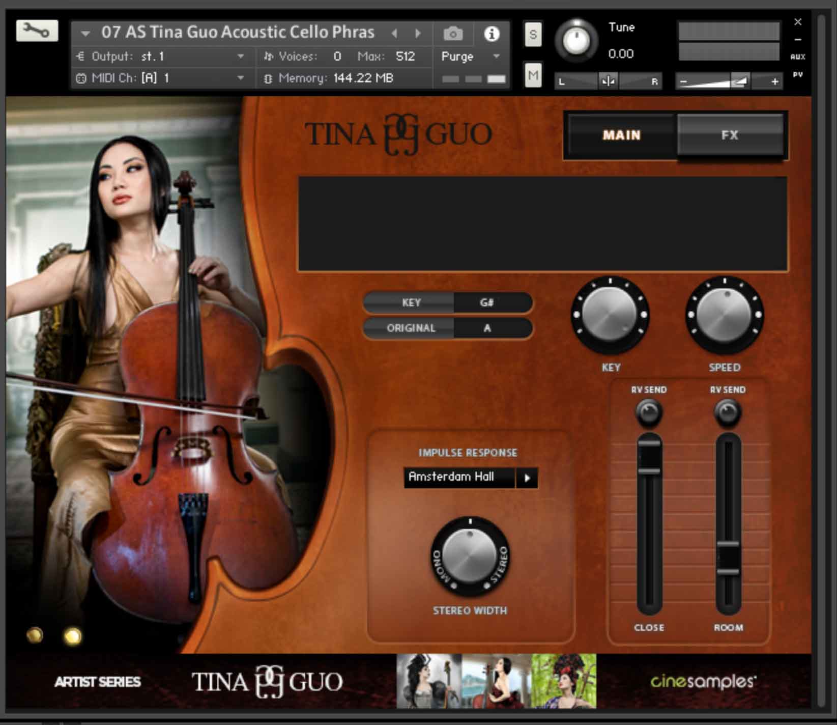 Artist Series - Tina Guo 1