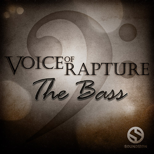 Voice of Rapture: The Bass Box