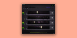 Simple Stems | New Year's Sale