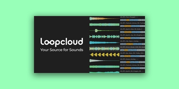Loopcloud 12-Month Professional Plan | Plugin Boutique