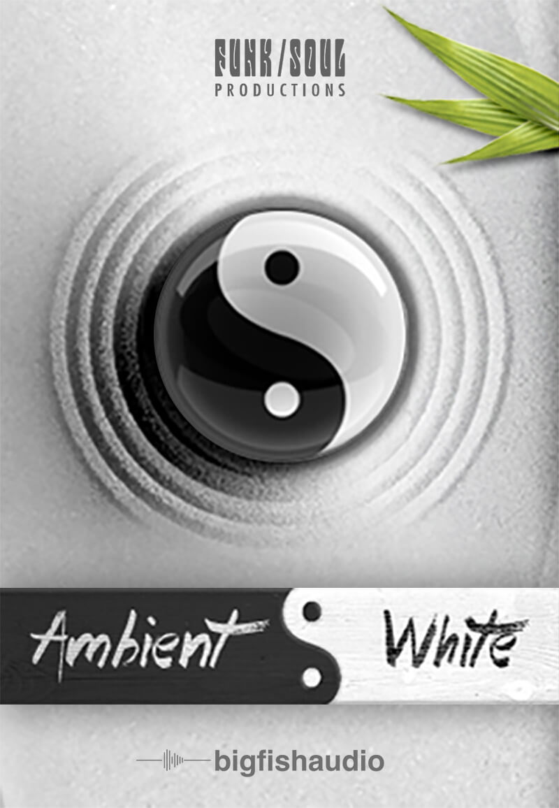 Big Fish Audio Ambient White - Box Image