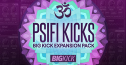 BigKick Expansion - PsiFi Kicks