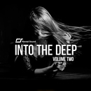Into The Deep Vol.2