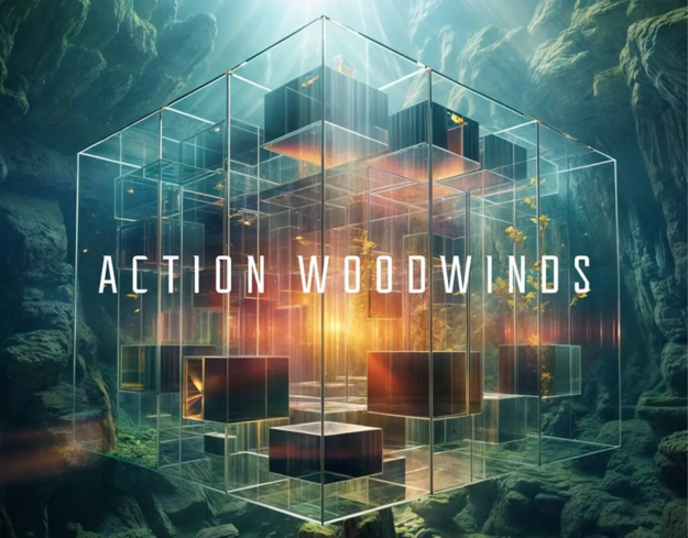 Action Woodwinds screenshot