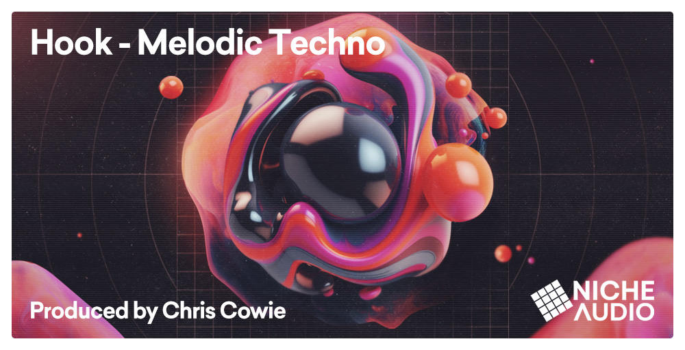 Niche Audio Hook: Melodic Techno