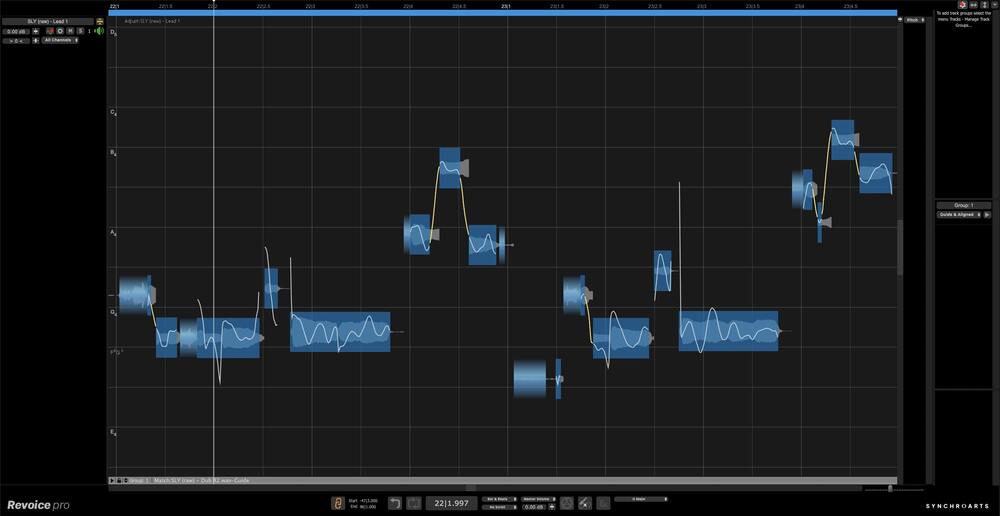 Synchro Arts Revoice Pro 5 - UI 7
