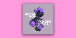 Loopmix Expansion: VOCAL POP