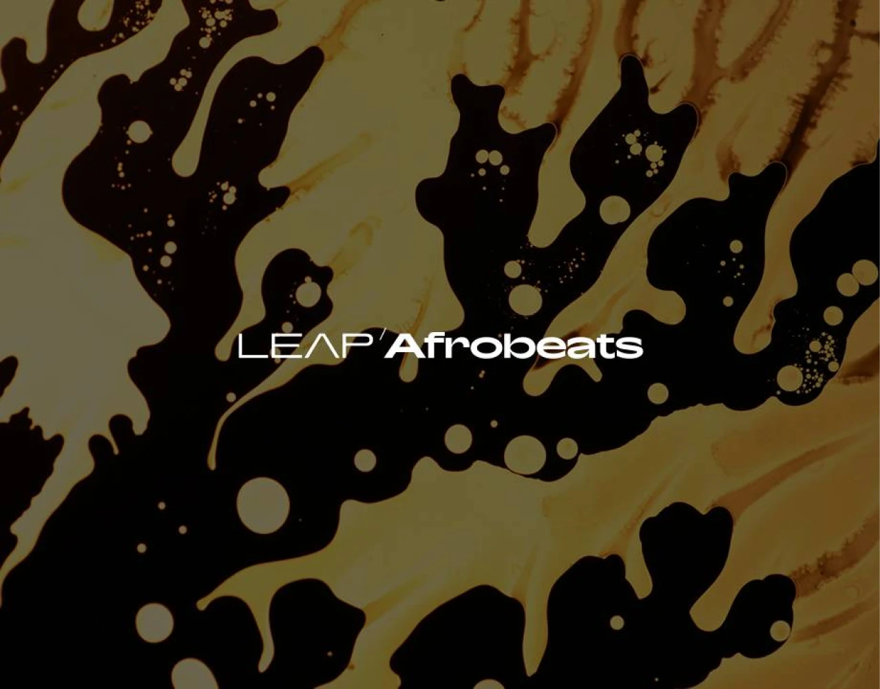 Native Instruments Leap Expansion - Afrobeats