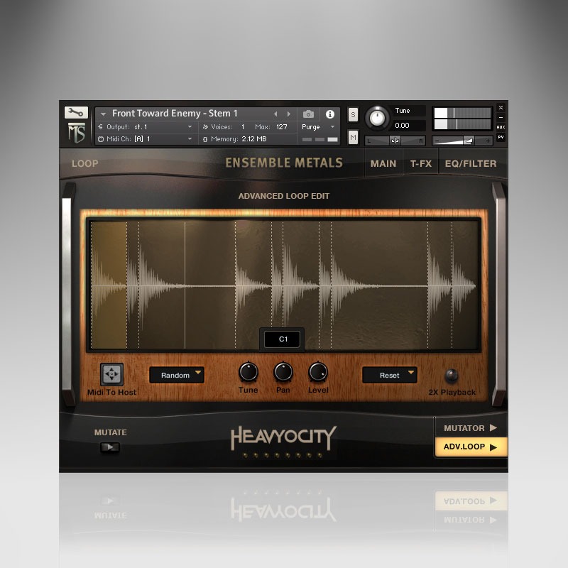 Ensemble Metals Collection Loops ADV